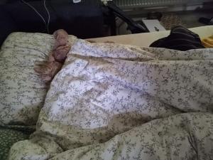 Christy 01 Maandagen voor Peer